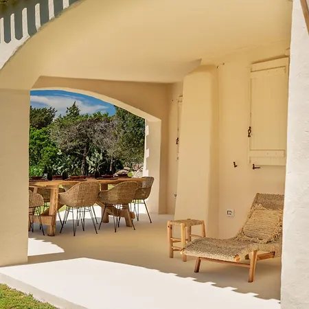 Villa Lizard
