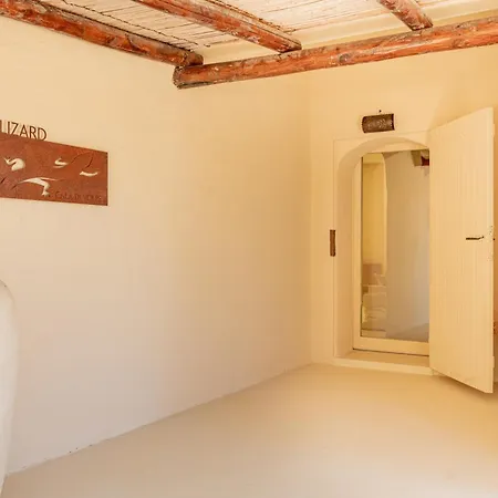 Villa Lizard