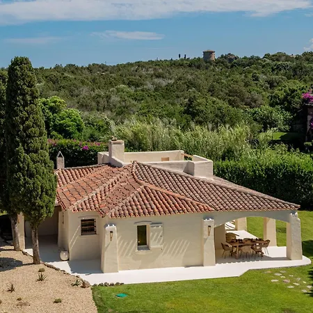 Villa Lizard