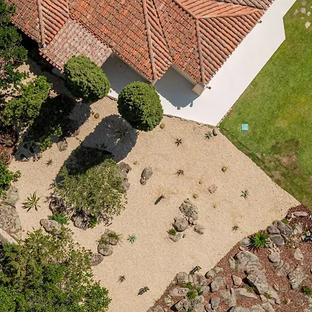 Villa Lizard Villa
